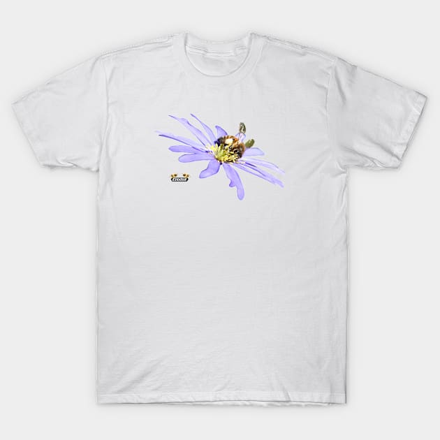 Honey bee busy / Swiss Artwork Photography T-Shirt by RaphaelWolf